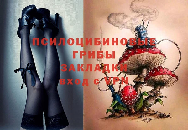трава Новокубанск