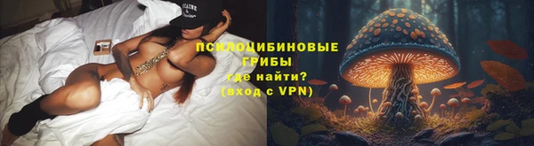 хмурый Новозыбков