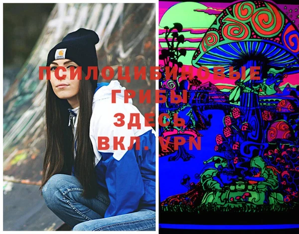 jwh Новодвинск