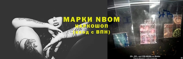 трава Новокубанск