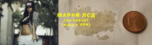 хмурый Новозыбков