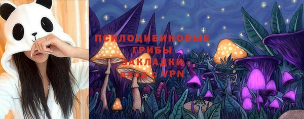 хмурый Новозыбков