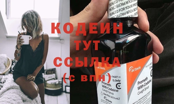 хмурый Новозыбков
