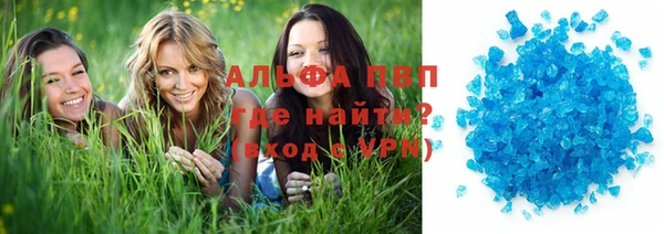 хмурый Новозыбков
