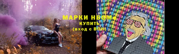 хмурый Новозыбков