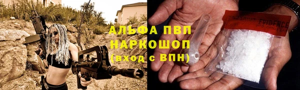 хмурый Новозыбков