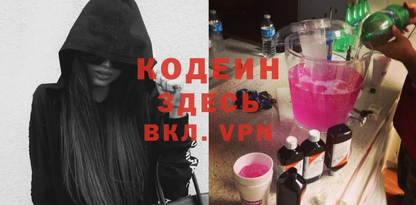 хмурый Новозыбков