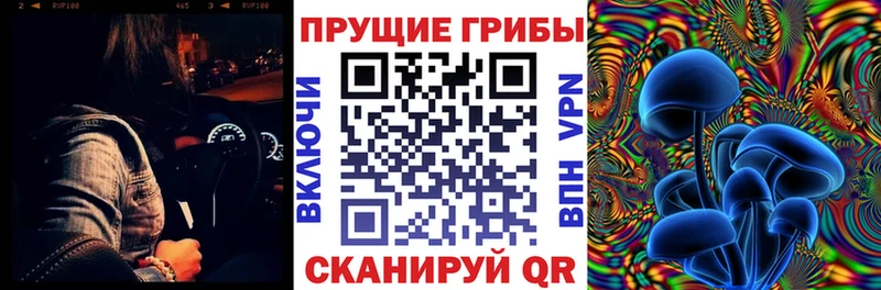 Купить где  Родники  Псилоцибиновые грибы Psilocybine cubensis 
