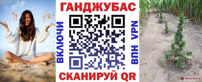 Бошки Шишки семена  Купить  Родники 
